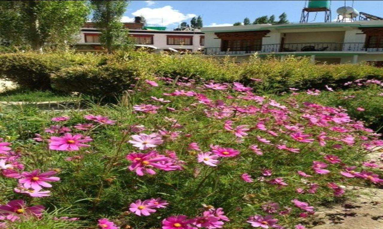 Royal Heritage Resort Leh Exterior foto